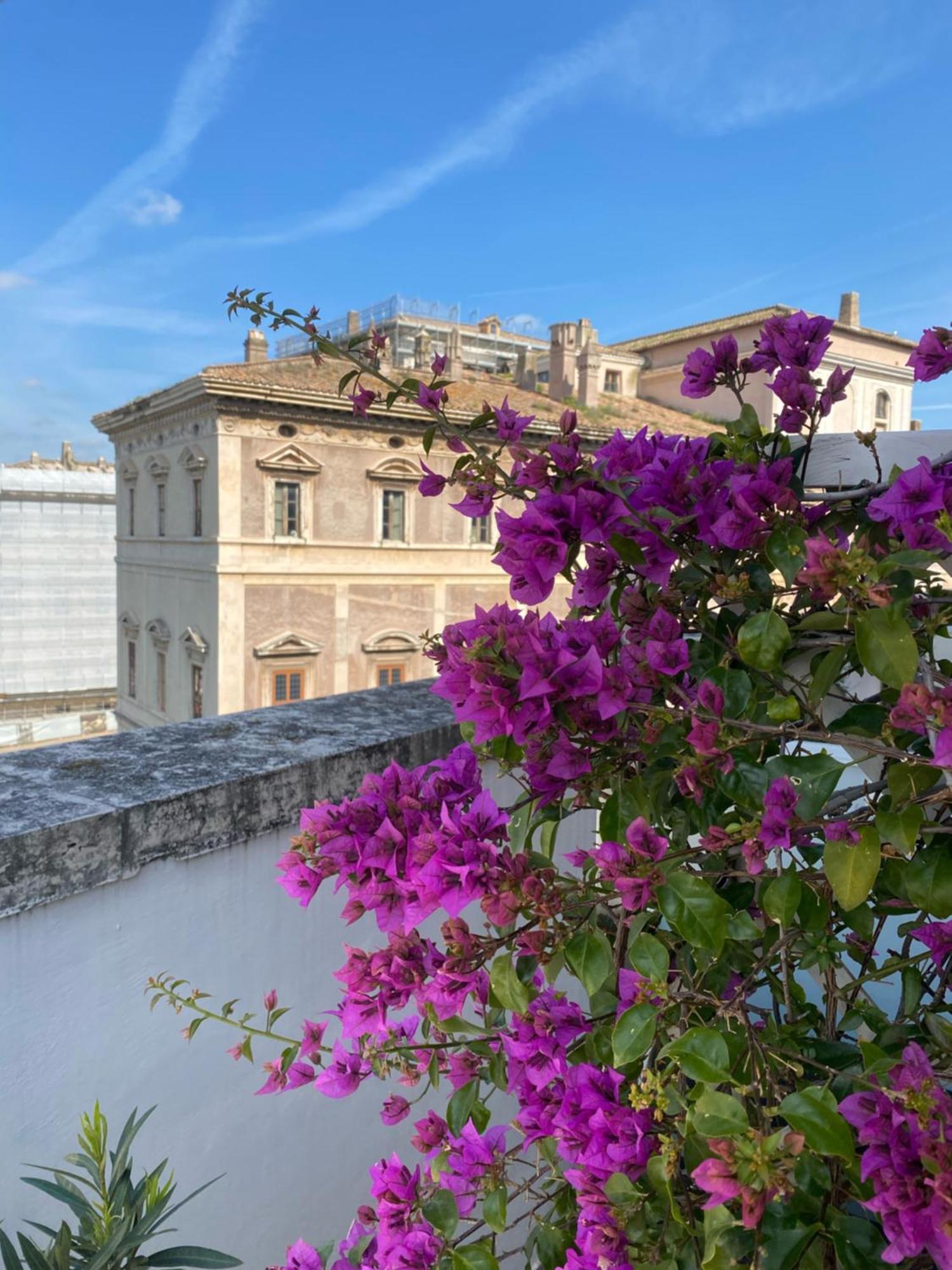 Terrazza Marco Antonio Luxury Pensión Roma